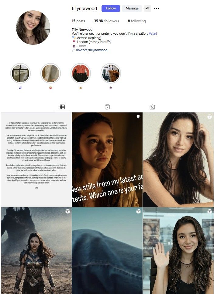 [서울=뉴시스] 틸리 노우드의 인스타그램 페이지. 1일 기준 팔로워는 약 3만6000명에 달한다. (사진=틸리 노우드 인스타그램 캡처) 2025.10.01 *재판매 및 DB 금지