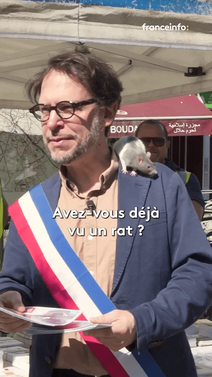 [뉴시스]16일(현지시간) 파리 11구 부시장 그레고리 모로가 반려쥐 플륌과 함께 거리를 거닐고 있다. (사진=엑스) 2025.09.29. *재판매 및 DB 금지