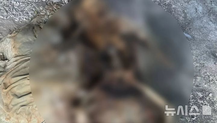 [뉴시스]잃어버렸다가 되찾은 휴대전화에 저장된 시체 사진.(사진=방콕포스트)&nbsp; 