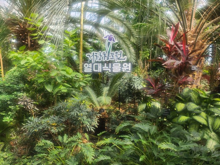 [거창=뉴시스] 서희원 기자= 1일 거창창포원 열대식물원. 2025. 10. 01. shw1881@newsis.com *재판매 및 DB 금지