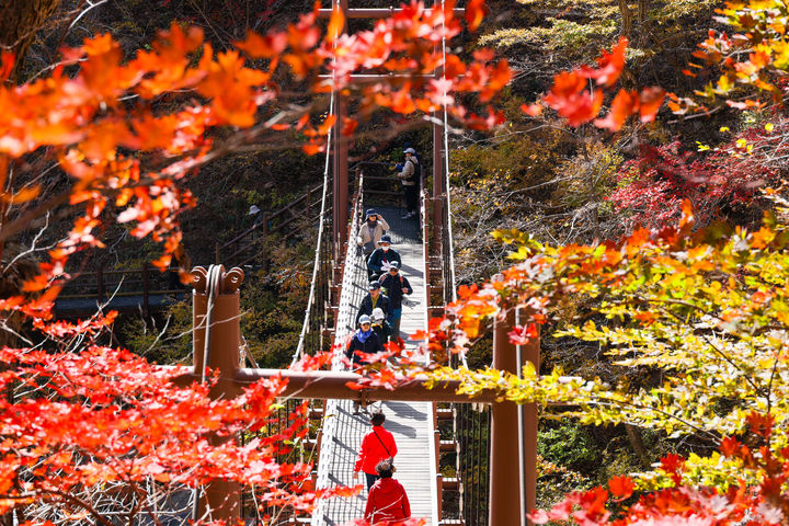 [양양=뉴시스] 지난해 오색령 단풍 모습.(사진=양양군 제공)photo@newsis.com *재판매 및 DB 금지