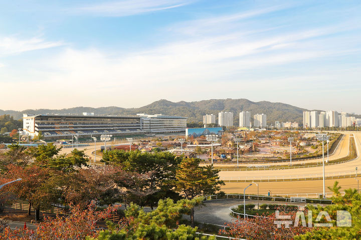 [서울=뉴시스]마지막 가을 야간경마 2~4일 시행. (사진=한국마사회 제공)