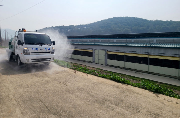 [광주=뉴시스] 광주시 조류 인플루엔자 방역 강화. (사진=광주시청 제공). photo@newsis.com *재판매 및 DB 금지