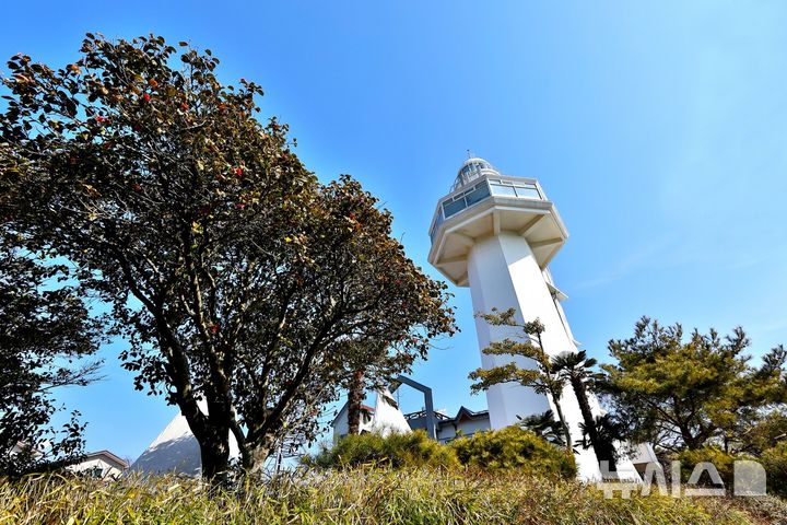 [서울=뉴시스]전남 여수 오동도등대와 동백꽃. (사진 = 한국항로표지기술원 제공)