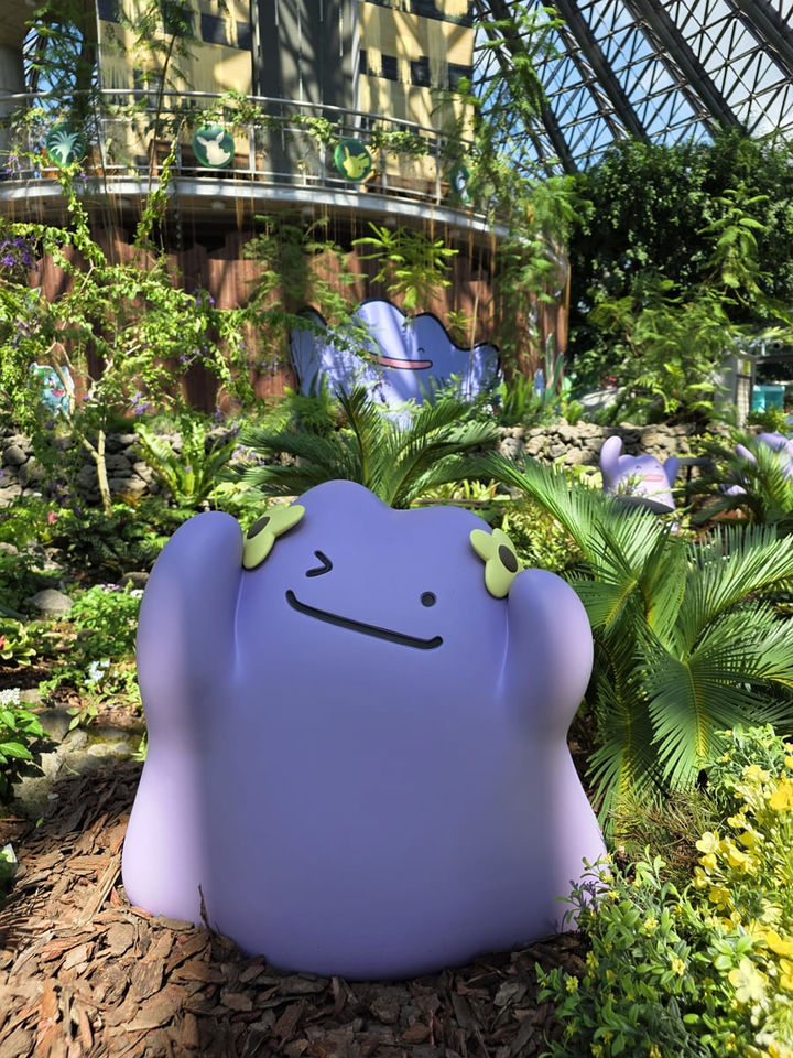 피카츄가 제주에…'포켓몬 원더 아일랜드 인 제주' 개최