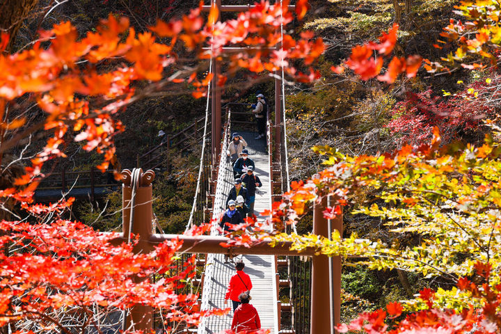 [양양=뉴시스] 지난해 오색령 단풍 모습.(사진=양양군 제공)photo@newsis.com *재판매 및 DB 금지 *재판매 및 DB 금지