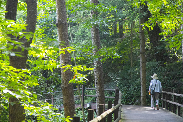 의왕 청계산맑은숲공원(사진=경기관광공사 제공) *재판매 및 DB 금지
