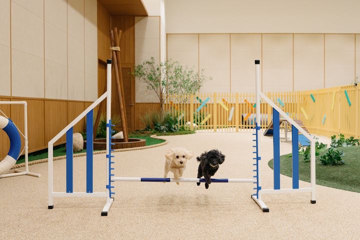 [서울=뉴시스]키녹 펫 프로그램.(사진=교원 제공) 2025.10.04. photo@newsis.com *재판매 및 DB 금지