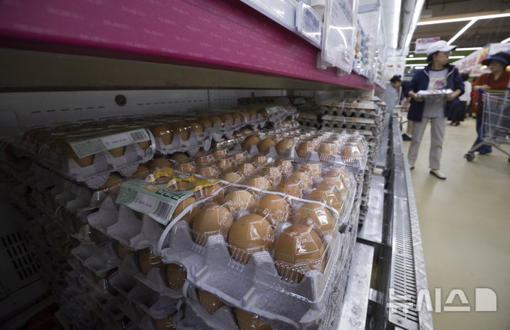 달걀 노른자 진한색이 더 좋다?..."식약처가 알려 드려요" - 뉴스 썸네일 이미지