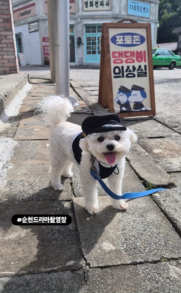 [순천=뉴시스] 순천 드라마 촬영장에서 강아지가 교복을 입고 있다. (사진=뉴시스 DB). photo@newsis.com *재판매 및 DB 금지