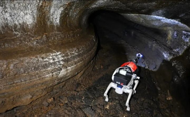 [서울=뉴시스] 중국 베이징대 연구팀이 개발한 로봇견이 달 표면과 유사한 환경으로 지목된 헤이룽장성의 한 동굴에서 탐사 작업을 벌이고 있다.(출처: SCMP) 2025.10.03. *재판매 및 DB 금지