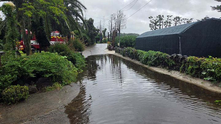[제주=뉴시스] 3일 오전 제주 서귀포시 상예동 한 농로가 빗물에 잠겨 소방이 조치에 나서고 있다. (사진=제주도소방안전본부 제공) 2025.10.03. photo@newsis.com *재판매 및 DB 금지