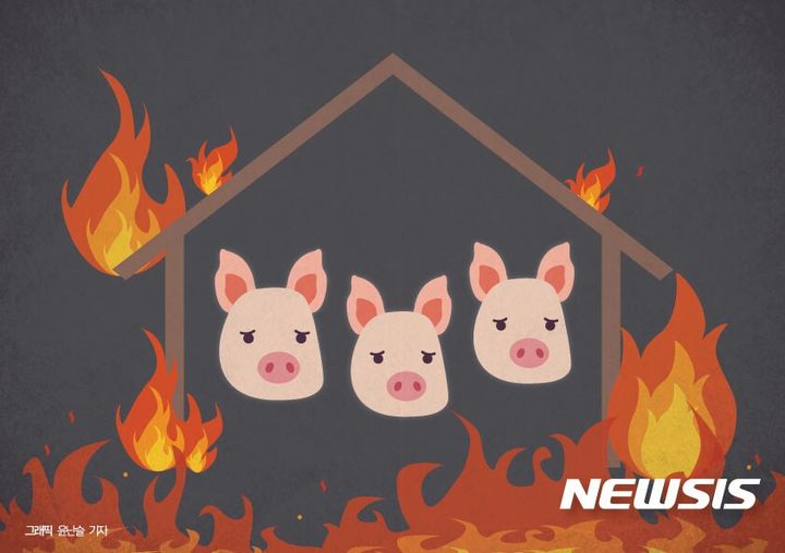 파주 한 돼지농장 돈사서 화재…돼지 350만리 폐사