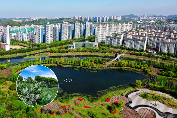 [안산=뉴시스]호수공원 전경(사진=안산시 제공)2025.10.04.photo@newsis.com *재판매 및 DB 금지