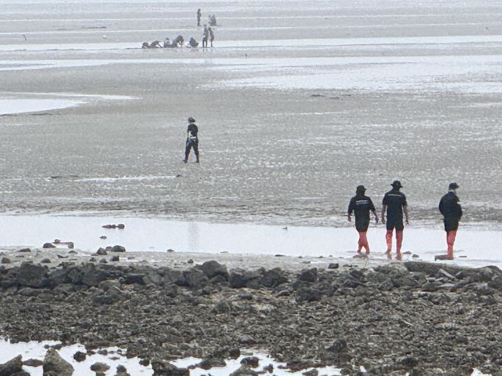 [태안=뉴시스] 태안해양경찰서 등이 5일 해루질(밤에 얕은 바다에서 맨손으로 어패류를 잡는 일)을 하러 나갔다 실종된 70대 여성을 찾기 위해 충남 태안군 남면 진산리 갯벌을 수색하고 있다. (사진=태안해안경찰서 제공) 2025.10.05. photo@newsis.com *재판매 및 DB 금지