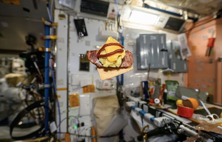 [서울=뉴시스] 올해 초 공개된 NASA의 '무중력 치즈버거'의 모습. (사진 = NASA 누리집 캡처) 2025.10.05. *재판매 및 DB 금지