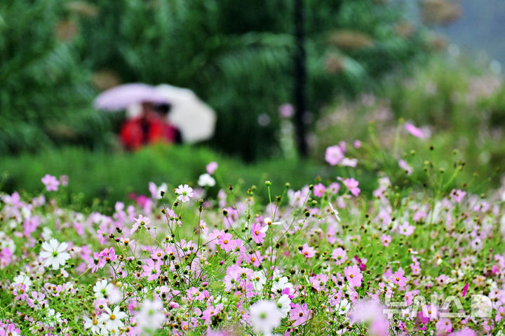 전북, 낮 23~25도 '흐림'…오전 빗방울·오후엔 동부 비