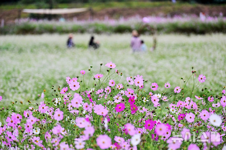 대체로 맑은 울산, 최저 9도·최고 14도