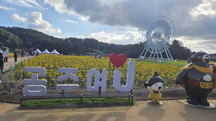 [공주=뉴시스] 송승화 기자 = 해바라기를 배경으로 셀카 명소로 자리매김한 '미르섬' .2025.10.08. ssong1007@newsis.com *재판매 및 DB 금지