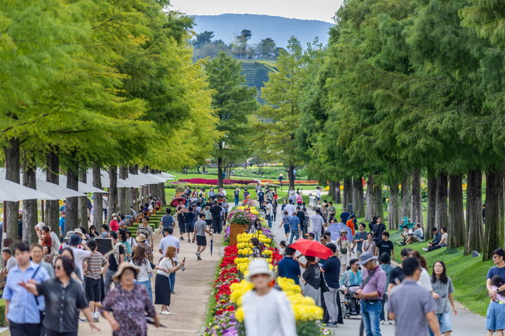 [순천=뉴시스] 추석 연휴 순천만국가정원을 찾은 관람객들이 낙우송 길을 걷고 있다. (사진=순천시 제공) 2025.10.09. photo@newsis.com *재판매 및 DB 금지