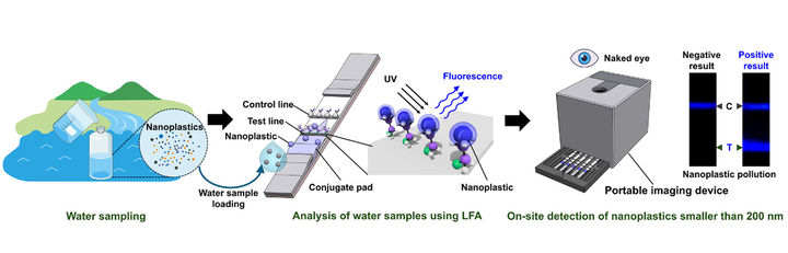 [부산=뉴시스] 부산대 이은희 교수팀 연구 이미지. (사진=부산대 제공) 2025.10.09. photo@newsis.com&nbsp; *재판매 및 DB 금지