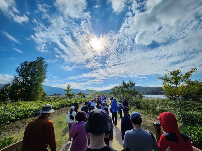 [양산=뉴시스] 양산시가 국화축제와 연계한 건강걷기 행사를 진행한다. 사진은 지난해 건강걷기운동. (사진=양산시 제공) 2025.10.10. photo@newsis.com *재판매 및 DB 금지