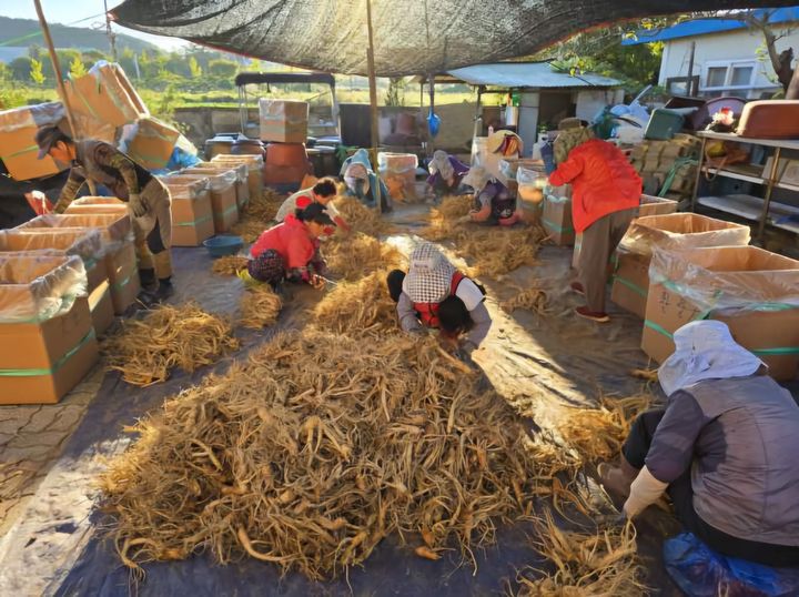 [증평소식]'농촌일손 더하기' 참여 농가 180곳 등