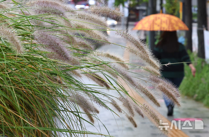 [서울=뉴시스] 최진석 기자 = 서울을 비롯한 수도권 곳곳에 비가 내리고 있는 10일 서울 종로구 열린송현 녹지광장 인근에서 한 시민이 우산을 쓰고 발걸음을 재촉하고 있다. 2025.10.10. myjs@newsis.com