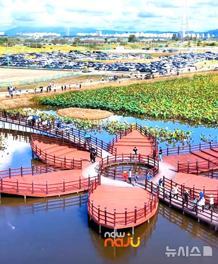 [나주=뉴시스] 전남 나주시가 영산강정원에 새롭게 조성한 연꽃데크길과 확장한 징검다리를 축제객들이 걷고 있다. (사진=나주시 제공) 2025.10.13. photo@newsis.com *재판매 및 DB 금지