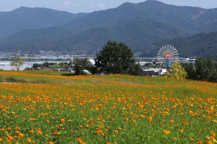 [곡성=뉴시스] 곡성 동화정원 가을 음악회. (사진=곡성군청 제공). photo@newsis.com *재판매 및 DB 금지