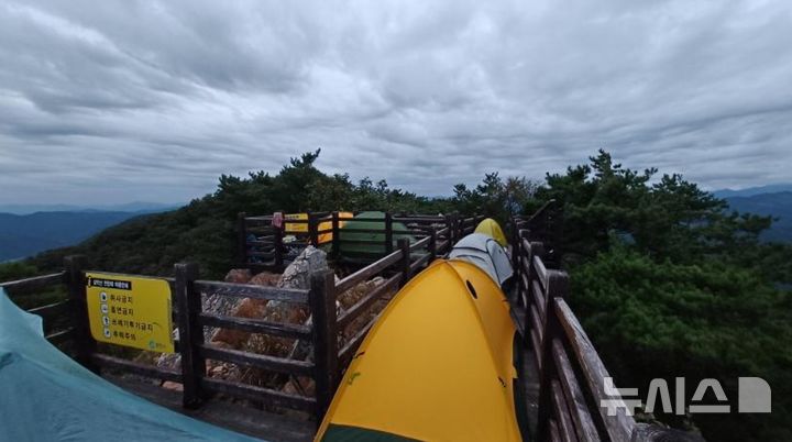 [서울=뉴시스](사진=보배드림)