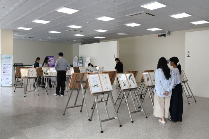 [나주=뉴시스] 전남산림연구원 희귀특산 식물표본 전시. (자료사진 = 전남산림연구원 제공). 2025.10.11. photo@newsis.com *재판매 및 DB 금지