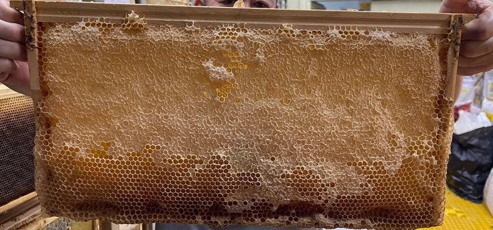 [세종=뉴시스] 농촌진흥청은 다가오는 겨울철 꿀벌 월동 피해를 최소화하기 위해 양봉농가에 빈틈없는 사양관리를 12일 당부했다. 사진은 완전밀개 먹이장. (사진=농진청 제공) 2025.10.11. photo@newsis.com *재판매 및 DB 금지