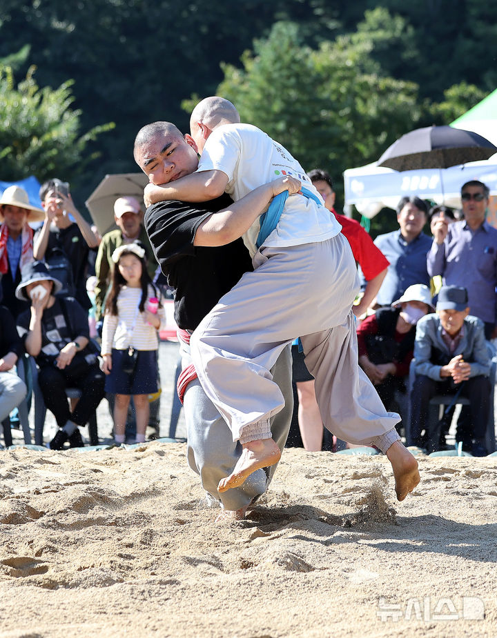 [대구=뉴시스] 이무열 기자 = 11일 대구 동구 동화사에서 열린 '팔공산 산중장터 승시축제' 부대행사로 열린 승가 씨름대회에 참가한 스님들이 모래판 위에서 승부를 펼치고 있다. 2025.10.11. lmy@newsis.com