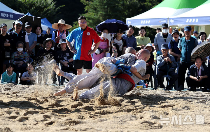 [대구=뉴시스] 이무열 기자 = 11일 대구 동구 동화사에서 열린 '팔공산 산중장터 승시축제' 부대행사로 열린 승가 씨름대회에 참가한 스님들이 모래판 위에서 승부를 펼치고 있다. 2025.10.11. lmy@newsis.com