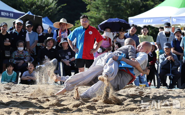 [대구=뉴시스] 이무열 기자 = 11일 대구 동구 동화사에서 열린 '팔공산 산중장터 승시축제' 부대행사로 열린 승가 씨름대회에 참가한 스님들이 모래판 위에서 승부를 펼치고 있다. 2025.10.11. lmy@newsis.com