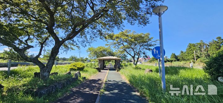 [제주=뉴시스] 서귀포시 표선면 번영로 도시숲. (사진=제주도청 제공) photo@newsis.com *재판매 및 DB 금지