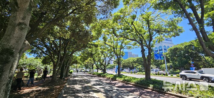 [제주=뉴시스] 제주시 신대로 도시숲. (사진=제주도청 제공) photo@newsis.com *재판매 및 DB 금지