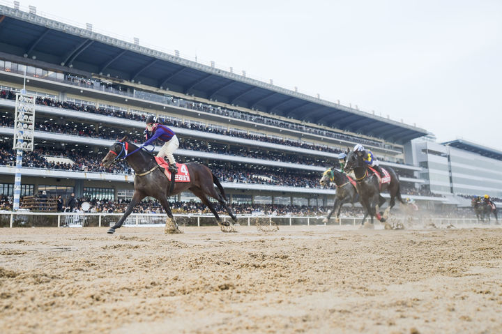 [서울=뉴시스] 지난해 그랑프리 우승 당시 '글로벌히트'. (사진=한국마사회 제공) *재판매 및 DB 금지