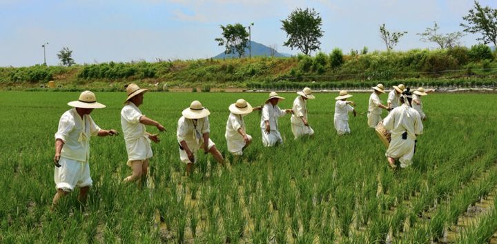 [용인=뉴시스 ]백암농요 시연 모습(사진=용인시 제공) 2025.10.12 photo@newsis.com *재판매 및 DB 금지