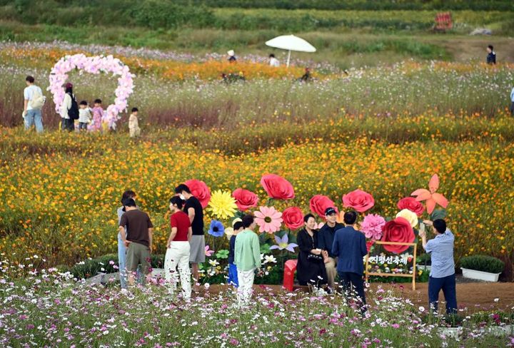 제27회 김제지평선축제 *재판매 및 DB 금지