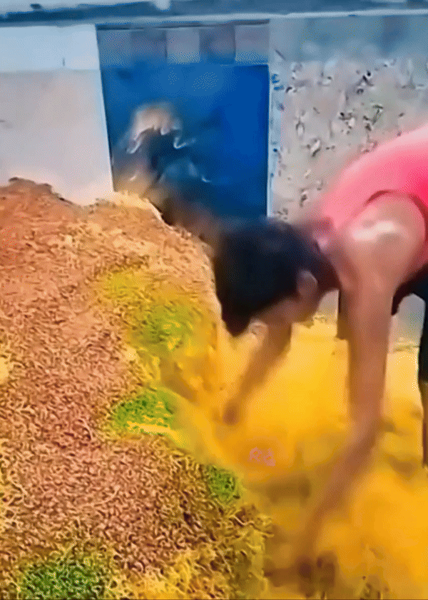 [서울=뉴시스] 인도에서 국민 간식으로 사랑받는 '남킨' 제조 과정이 비위생적으로 진행되는 모습이 포착돼 논란이 일고 있다. (사진 = 유튜브 갈무리) 2025.10.12. *재판매 및 DB 금지