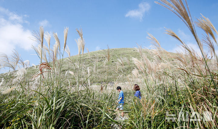 [제주=뉴시스] 우장호 기자 = 늦더위가 기승을 부리는 12일 오후 제주시 애월읍 봉성리 새별오름을 찾은 관광객들이 억새길을 걷고 있다. 기상청에 따르면 이날 서귀포시를 비롯해 제주 주요 지점 낮 기온은 28도에서 29도 사이로 한낮엔 제법 더운 날씨를 보였다. 2025.10.12. woo1223@newsis.com