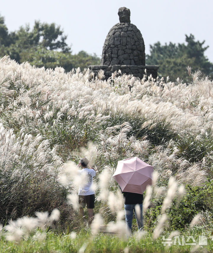 [제주=뉴시스] 우장호 기자 = 늦더위가 기승을 부리는 12일 오후 제주시 애월읍 봉성리 새별오름을 찾은 관광객들이 억새길을 걷고 있다. 기상청에 따르면 이날 서귀포시를 비롯해 제주 주요 지점 낮 기온은 28도에서 29도 사이로 한낮엔 제법 더운 날씨를 보였다. 2025.10.12. woo1223@newsis.com