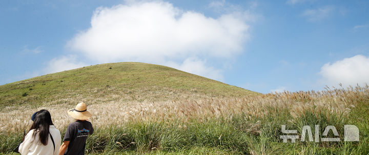 [제주=뉴시스] 우장호 기자 = 늦더위가 기승을 부리는 12일 오후 제주시 애월읍 봉성리 새별오름을 찾은 관광객들이 억새길을 걷고 있다.기상청에 따르면 이날 서귀포시를 비롯해 제주 주요 지점 낮 기온은 28도에서 29도 사이로 한낮엔 제법 더운 날씨를 보였다. 2025.10.12. woo1223@newsis.com