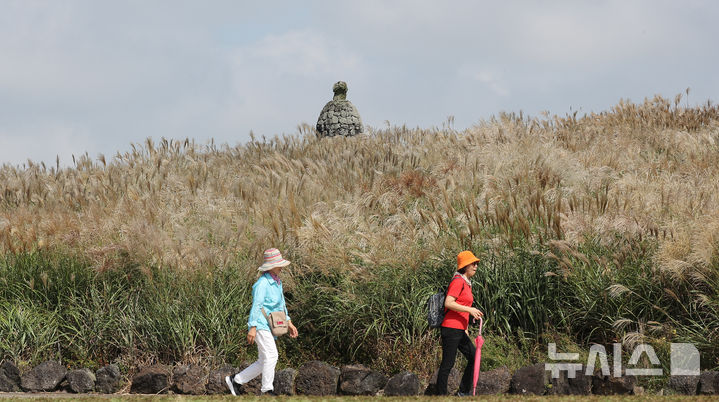 [제주=뉴시스] 우장호 기자 = 늦더위가 기승을 부리는 12일 오후 제주시 애월읍 봉성리 새별오름을 찾은 관광객들이 억새길을 걷고 있다.기상청에 따르면 이날 서귀포시를 비롯해 제주 주요 지점 낮 기온은 28도에서 29도 사이로 한낮엔 제법 더운 날씨를 보였다. 2025.10.12. woo1223@newsis.com