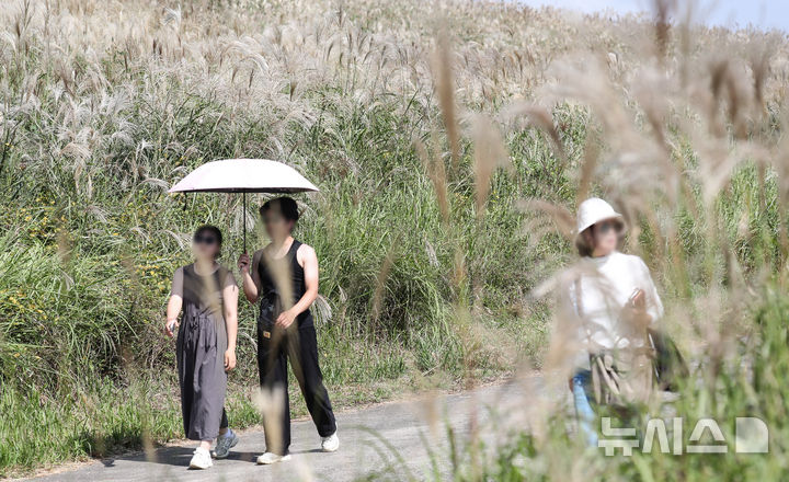 [제주=뉴시스] 우장호 기자 = 늦더위가 기승을 부리는 12일 오후 제주시 애월읍 봉성리 새별오름에서 민소매를 입은 관광객이 억새길을 걷고 있다.기상청에 따르면 이날 서귀포시를 비롯해 제주 주요 지점 낮 기온은 28도에서 29도 사이로 한낮엔 제법 더운 날씨를 보였다. 2025.10.12. woo1223@newsis.com
