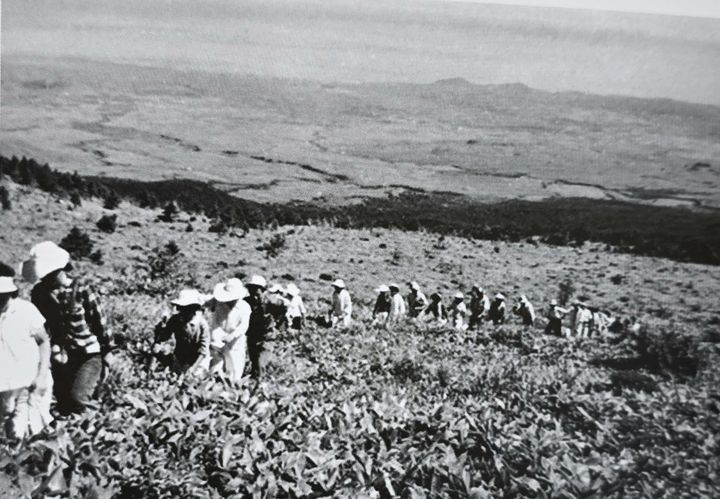 [제주=뉴시스] 1958년 제주적십자사 봉사원들이 한라산 개미등을 오르는 모습으로 여성 대원들도 보인다. 제주도에서 발행한 한라산국립공원 지정 50주년 기념 기획전시 사진집에 실렸다. (사진=제주도 제공) photo@newsis.com *재판매 및 DB 금지