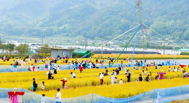 [성주=뉴시스] 가야산 메뚜기 축제. (사진=성주군 제공) 2025.10.13 photo@newsis.com *재판매 및 DB 금지