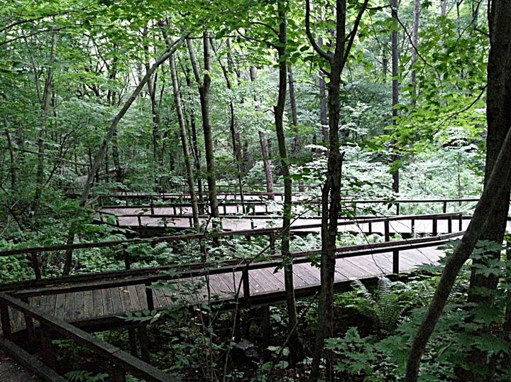 [횡성=뉴시스] 횡성숲체원 테크길. (사진=뉴시스 DB). photo@newsis.com *재판매 및 DB 금지